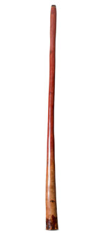 Tristan O'Meara Didgeridoo (TM445)